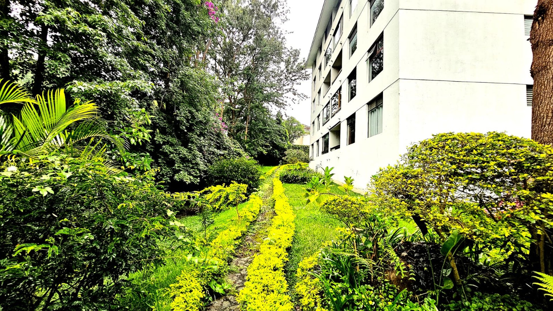 Apartamento en Venta, Carretera a El Salvador (V3695) - Miniatura 6