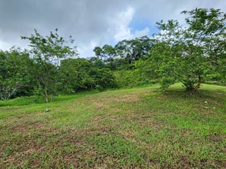 VENTA TERRENO EN LA ENTRADA A PUERTO BARRIOS - 3