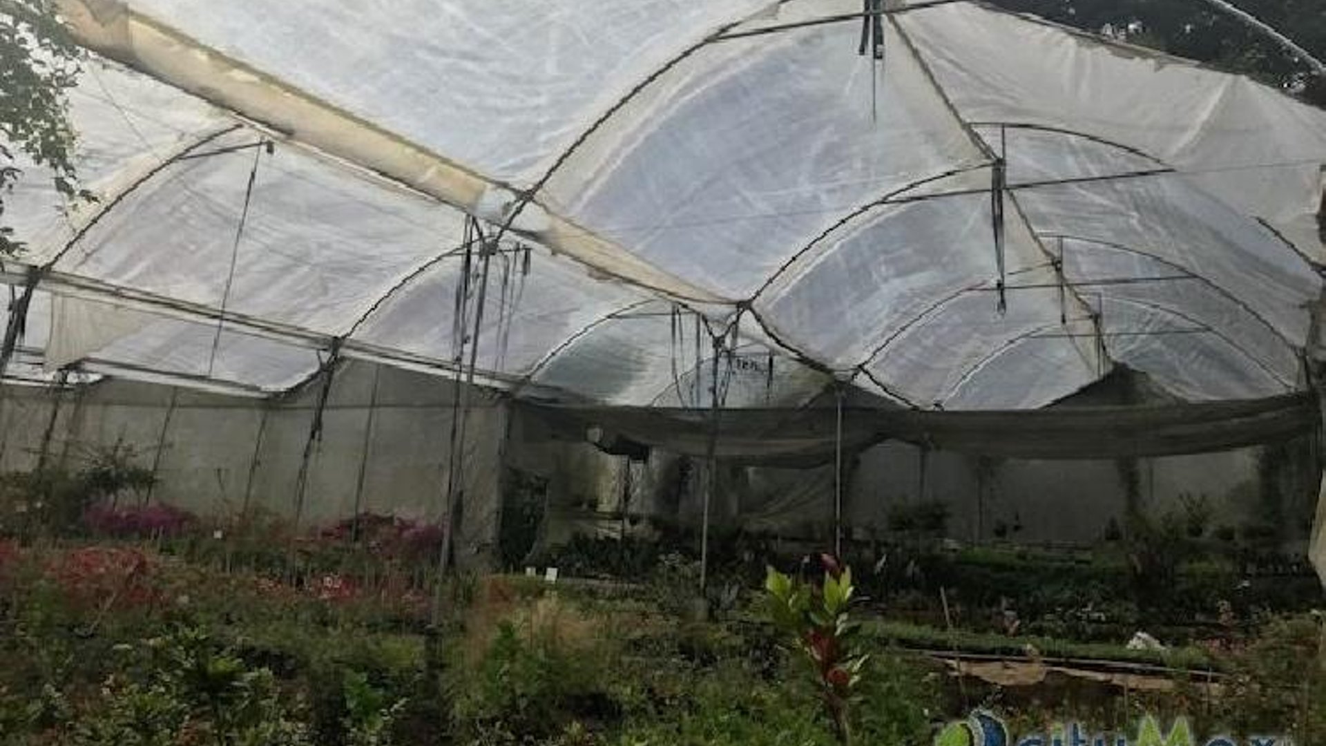 Terreno en venta para desarrollo en San José Pinula - Miniatura 6