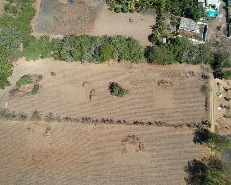 Terreno Plano  en Venta en Aldea el Guayabo Iztapa