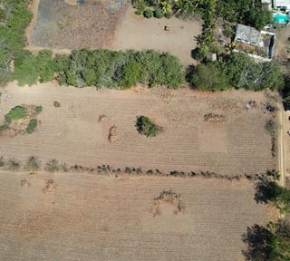 Terreno Plano  en Venta en Aldea el Guayabo Iztapa