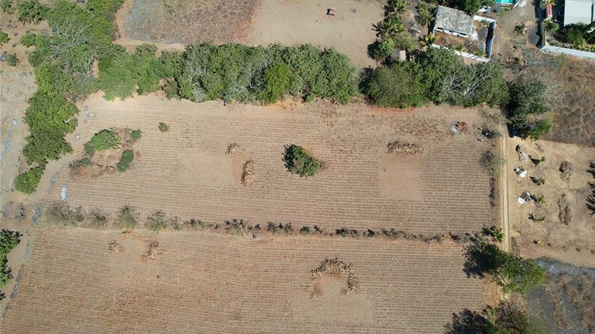 Terreno Plano  en Venta en Aldea el Guayabo Iztapa