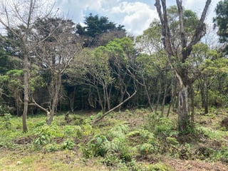 TERRENO EN VENTA EN CASA Y CAMPO, KM 23.5 CAES - 4