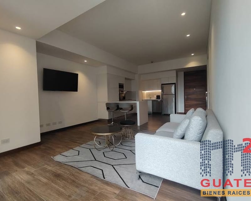 Apartamento en Renta, Zona 10 (R10488)