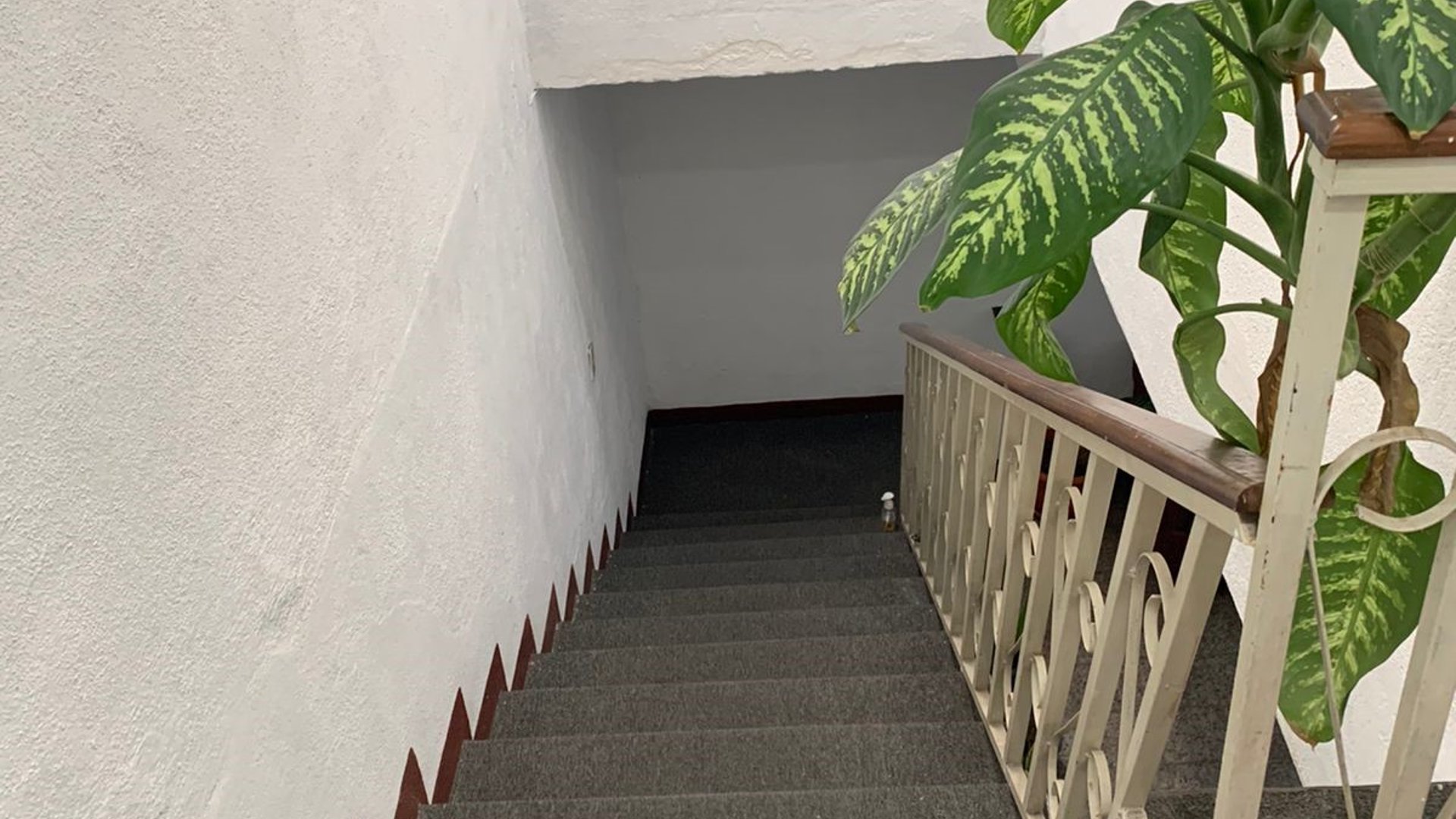 Vendo amplia casa en Zona 13 - Miniatura 2