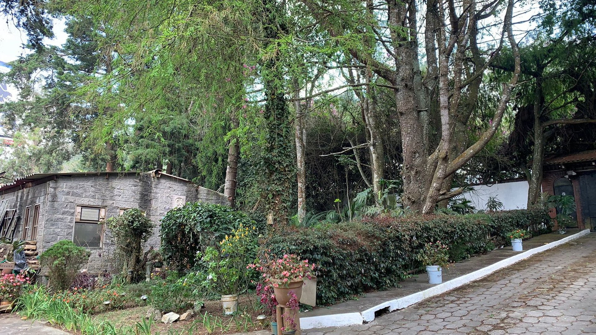 TERRENO EN RENTA EN CARRETERA AL SALVADOR 