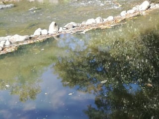 Lote en Venta RioSul, Escuintla, Guatemala - Image 14