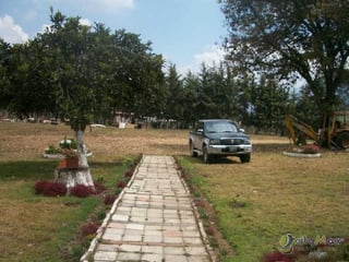 Se Vende Granja en Parramos, 2 manzanas de terreno. - 3