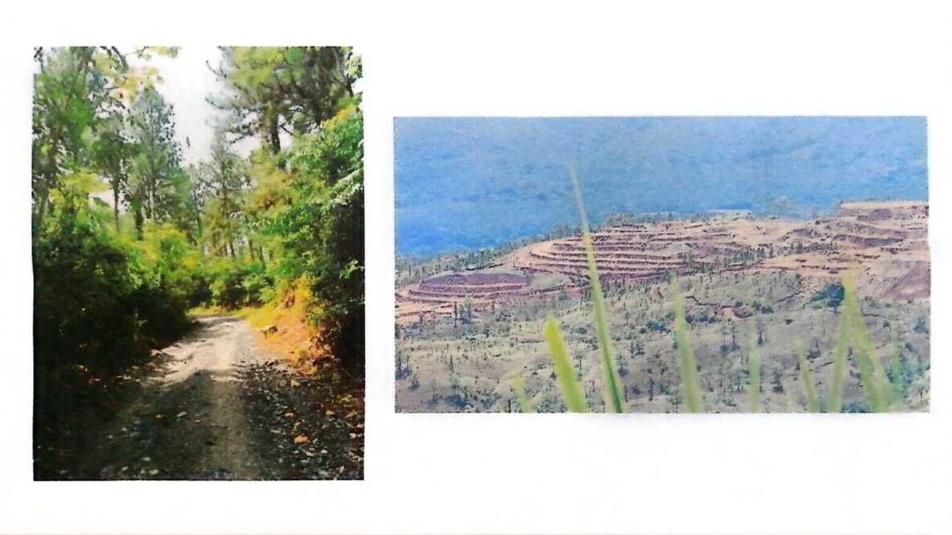 IZABAL/ Finca con minerales, árboles y Agua en Venta - Miniatura 8