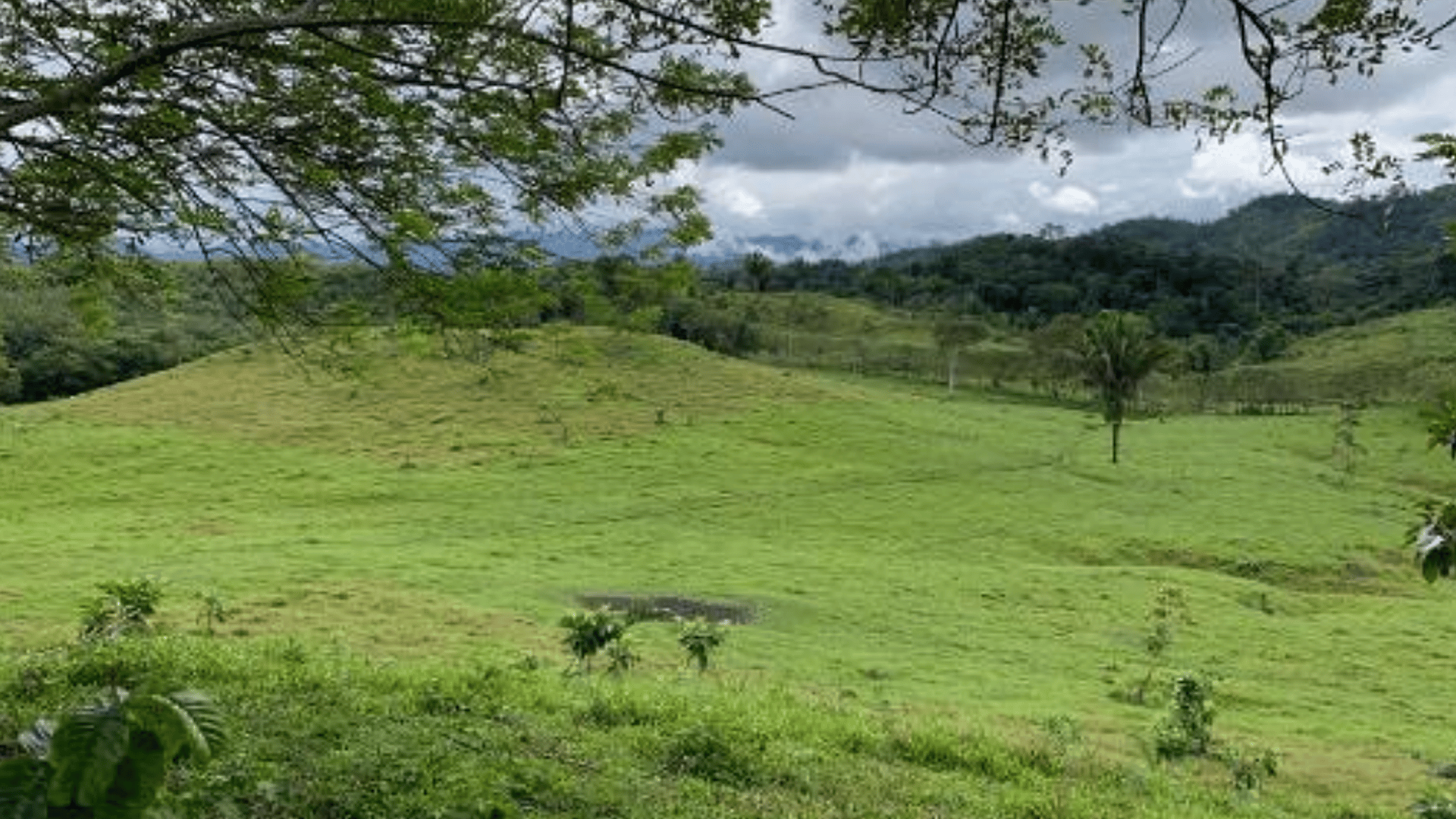 Finca en VENTA en  Municipio Nuevo Chahal, Alta Verapaz - Miniatura 3