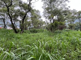 VENTA Terreno Los Sauces Km.37 Palín Escuintla - 5
