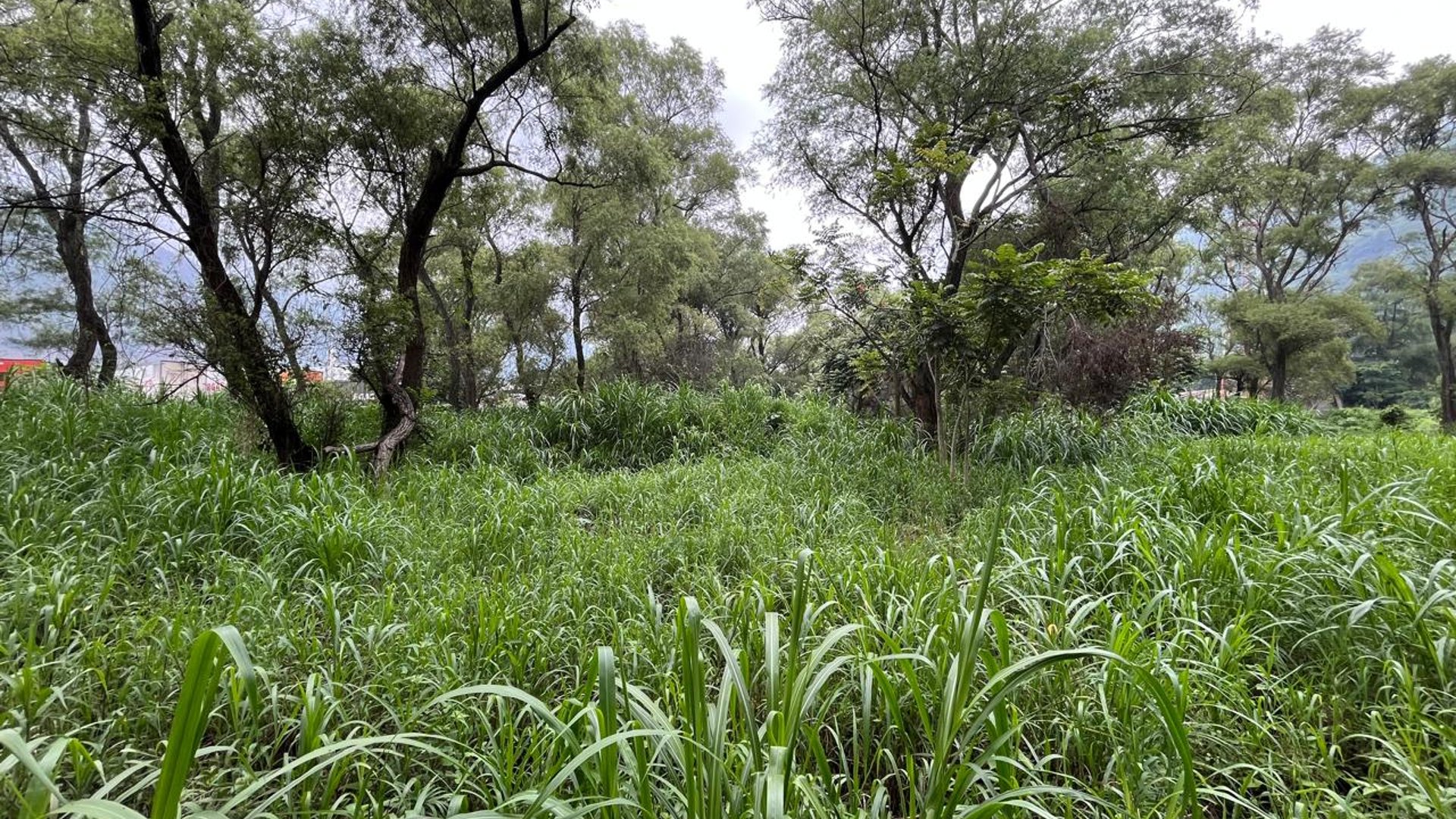 VENTA Terreno Los Sauces Km.37 Palín Escuintla - Miniatura 5