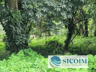 🏡 Land for Sale in Residencial Santa Rosalía La Laguna, Guatemala - Image 1