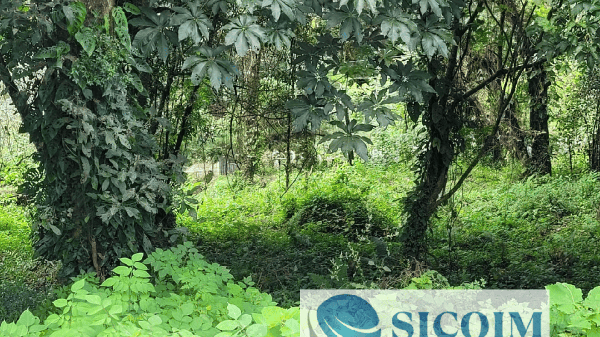 🏡 Land for Sale in Residencial Santa Rosalía La Laguna, Guatemala