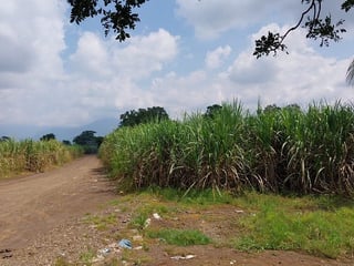 Terreno en Venta en Escuintla – Costa Sur de Guatemala - 3