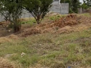 Terreno en venta de 1600 m2 en Colonia Edyn Loyo, zona 1 casco urbano Zacapa - 3