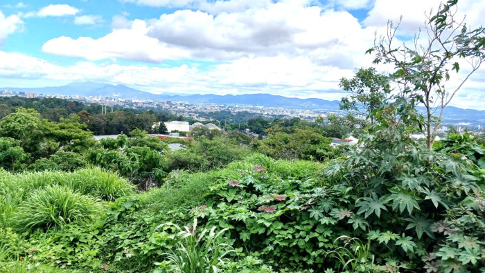 Terreno Residencial en Venta en Zona 17 - Miniatura 6