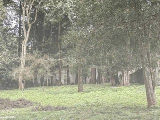 Venta de terrenos residenciales en Santiago Sacatepéquez - 3