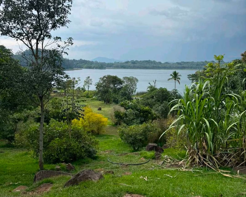LAGUNA EL PINO TERRENO CERCA DE MANGOYA EN VENTA