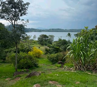 LAGUNA EL PINO TERRENO CERCA DE MANGOYA EN VENTA