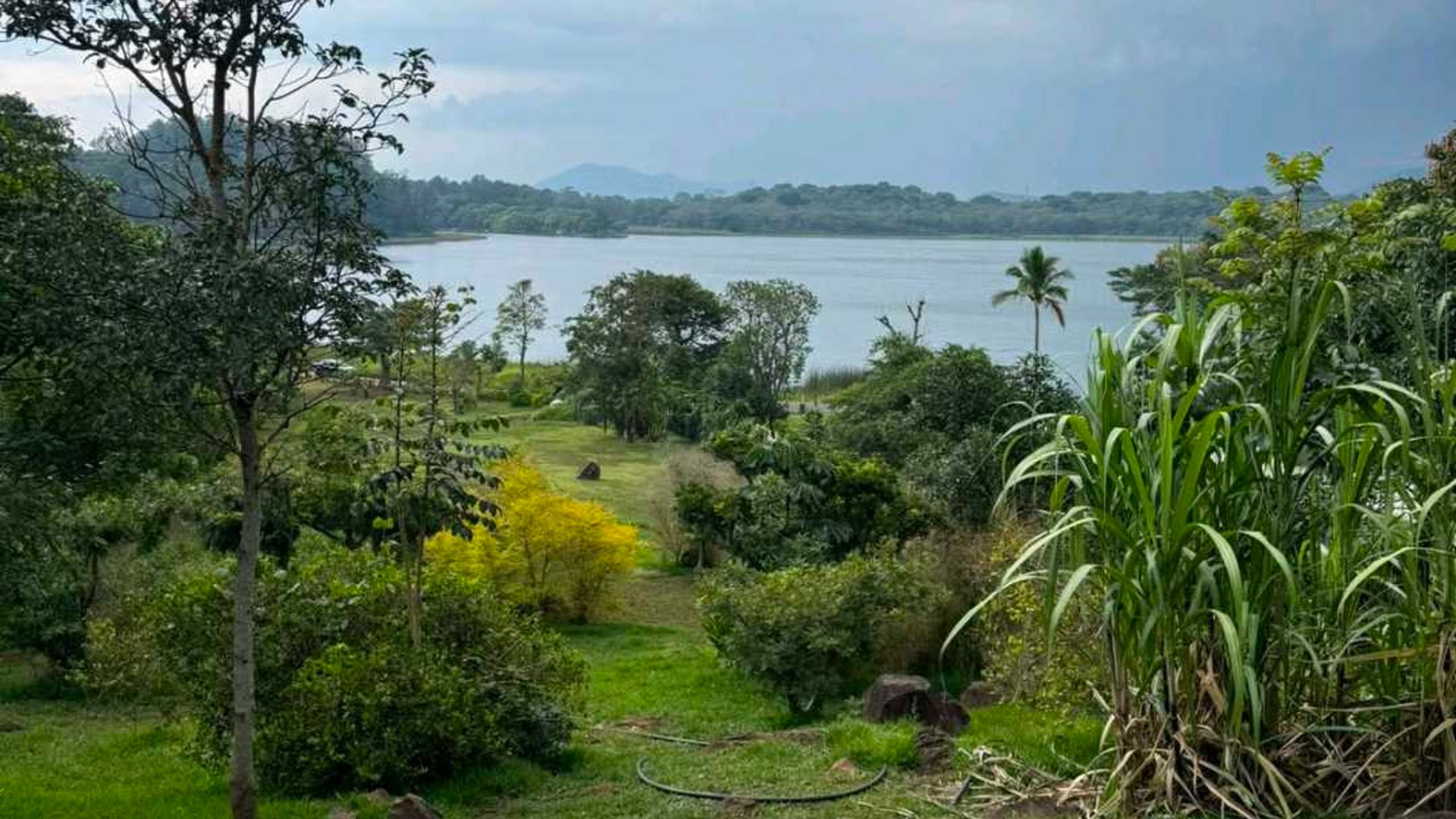 LAGUNA EL PINO TERRENO CERCA DE MANGOYA EN VENTA