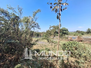 FINCA EN VENTA KM. 68 CARRETERRA ANTIGUA AL PUERTO SAN JOSE - 2