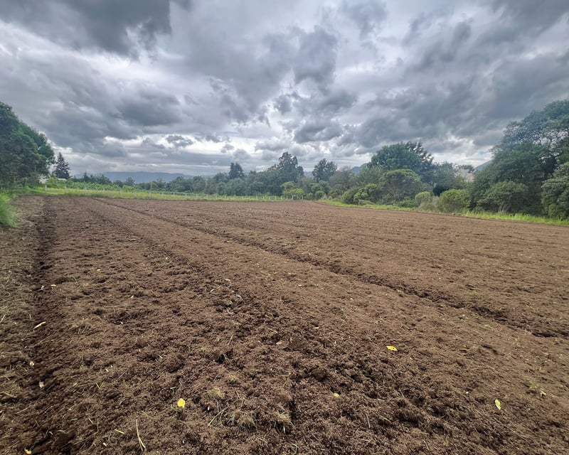 Finca en Venta de 8 Cuerdas en Quetzaltenango
