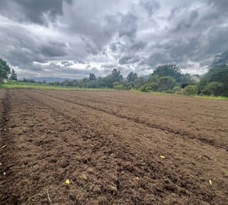 Finca en Venta de 8 Cuerdas en Quetzaltenango