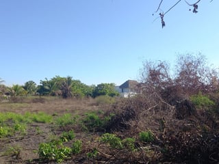 Terreno en venta camino a Monterrico - 3