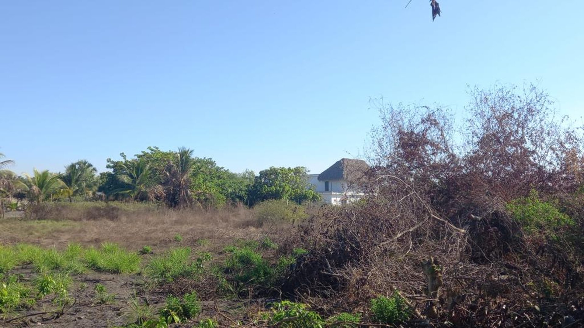 Terreno en venta camino a Monterrico - Miniatura 3