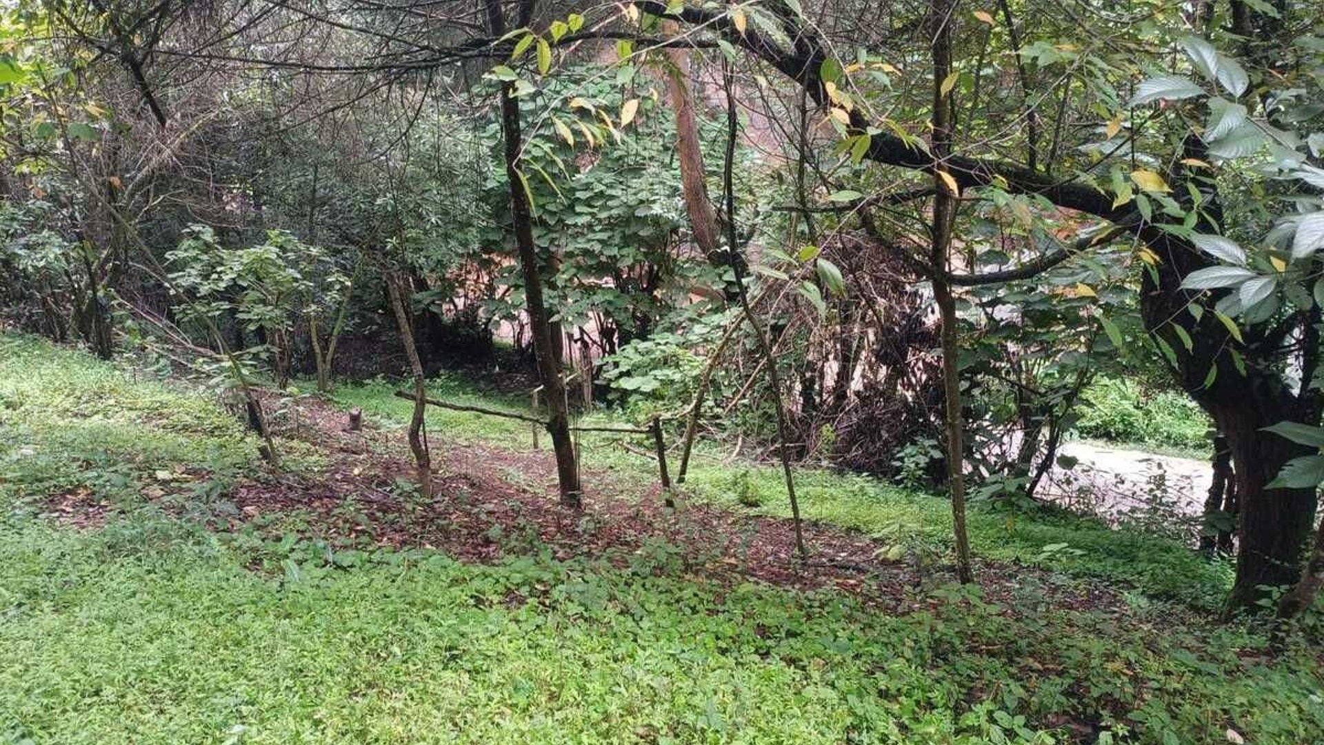 TERRENO EN VENTA SAN LUCAS KM 31.5 CARRETERA ANTIGUA - Miniatura 7