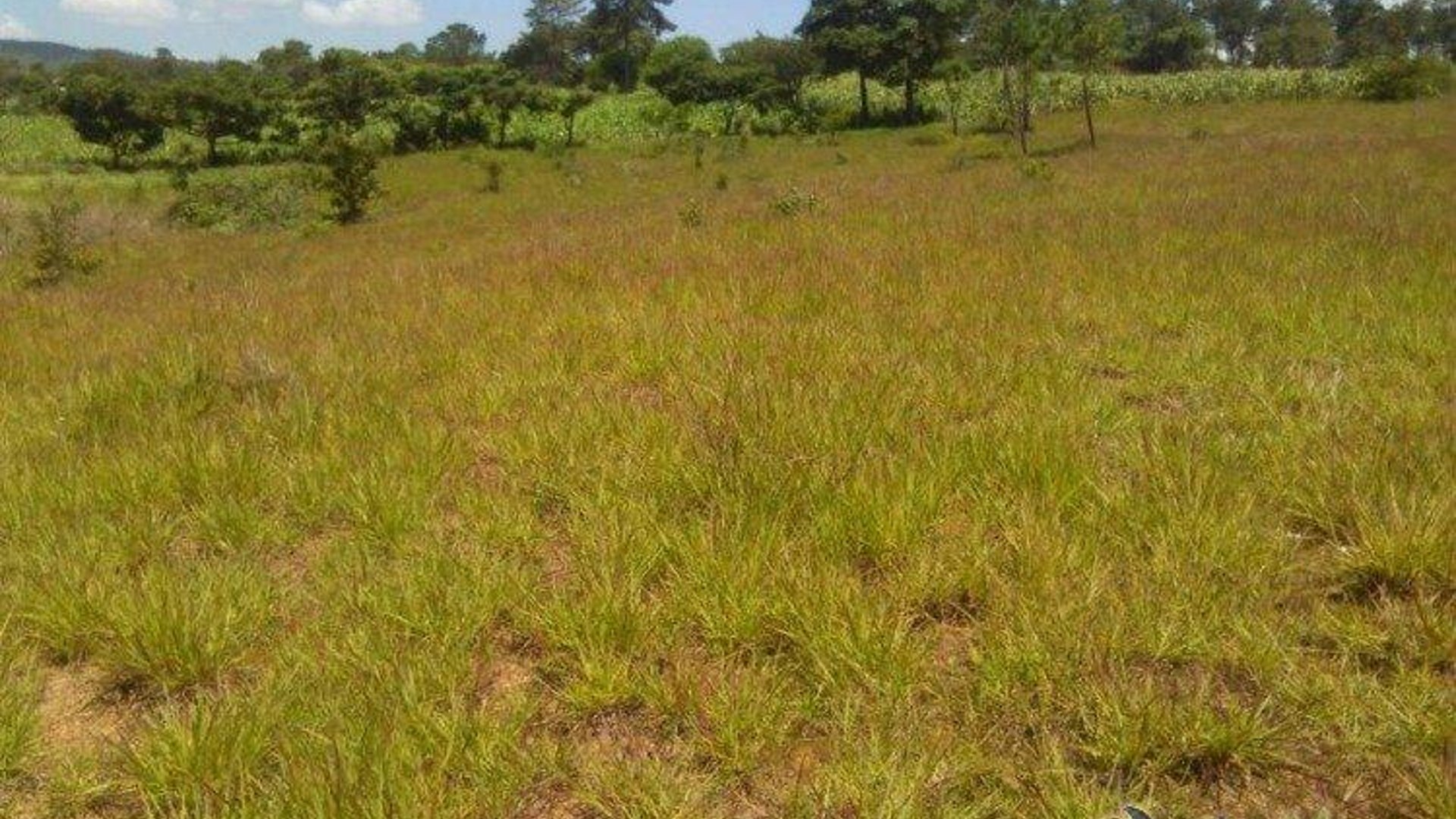 Vendo terreno en San Pedro Sacatepéquez - Miniatura 3