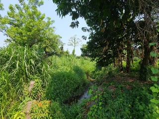 En Venta finca +40Mil Varas en el Km. 78 Ruta CA-2 - 4