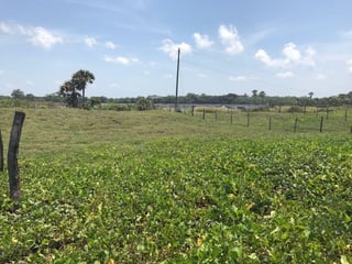VENDO TERRENO VACACIONAL EN PLAYA RAMA BLANCA SIPACATE - Image 11