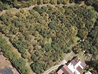 Granja en venta / Santa Lucía Milpas altas - Image 12