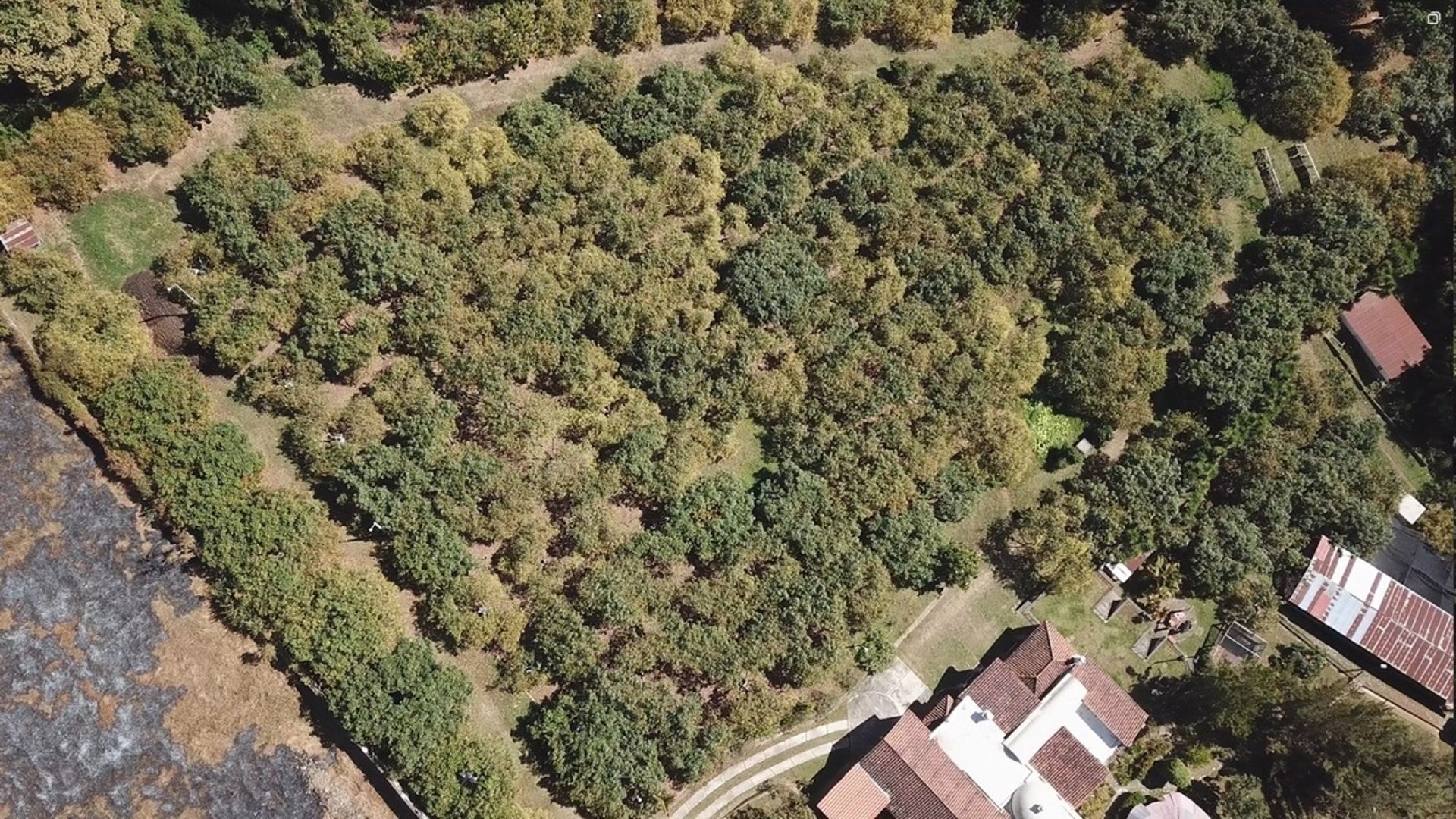 Granja en venta / Santa Lucía Milpas altas - Miniatura 12