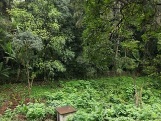 TERRENOS EN VENTA EN SANTA ROSALIA - 5