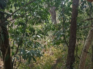 Terreno en venta en antigua guatemala  - 4