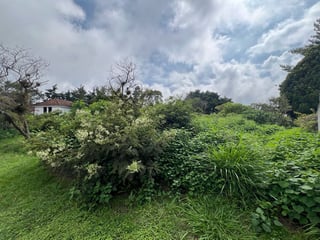 Venta de lindo terreno plano | Sausalito, Km 21 Carr. a Fraijanes - 3