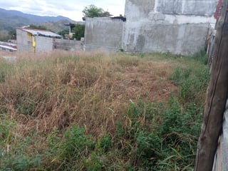 TERRENO EN VENTA EN BARRIO EL CENTRO GUALAN ZACAPA - 5