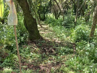 Venta terreno residencial Casa y Campo Carr. Salvador - Image 5