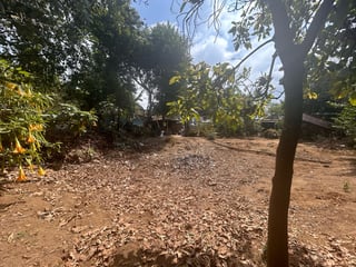 Venta de terreno rustico en San Lucas - 3