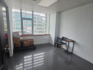 Oficina en renta zona 15 / Domani - 4