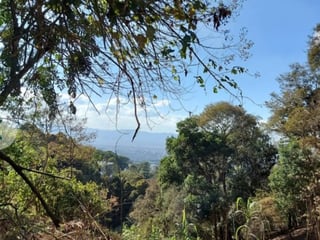 Terreno en Venta en Santa Catarina Pinula - CAES - 3