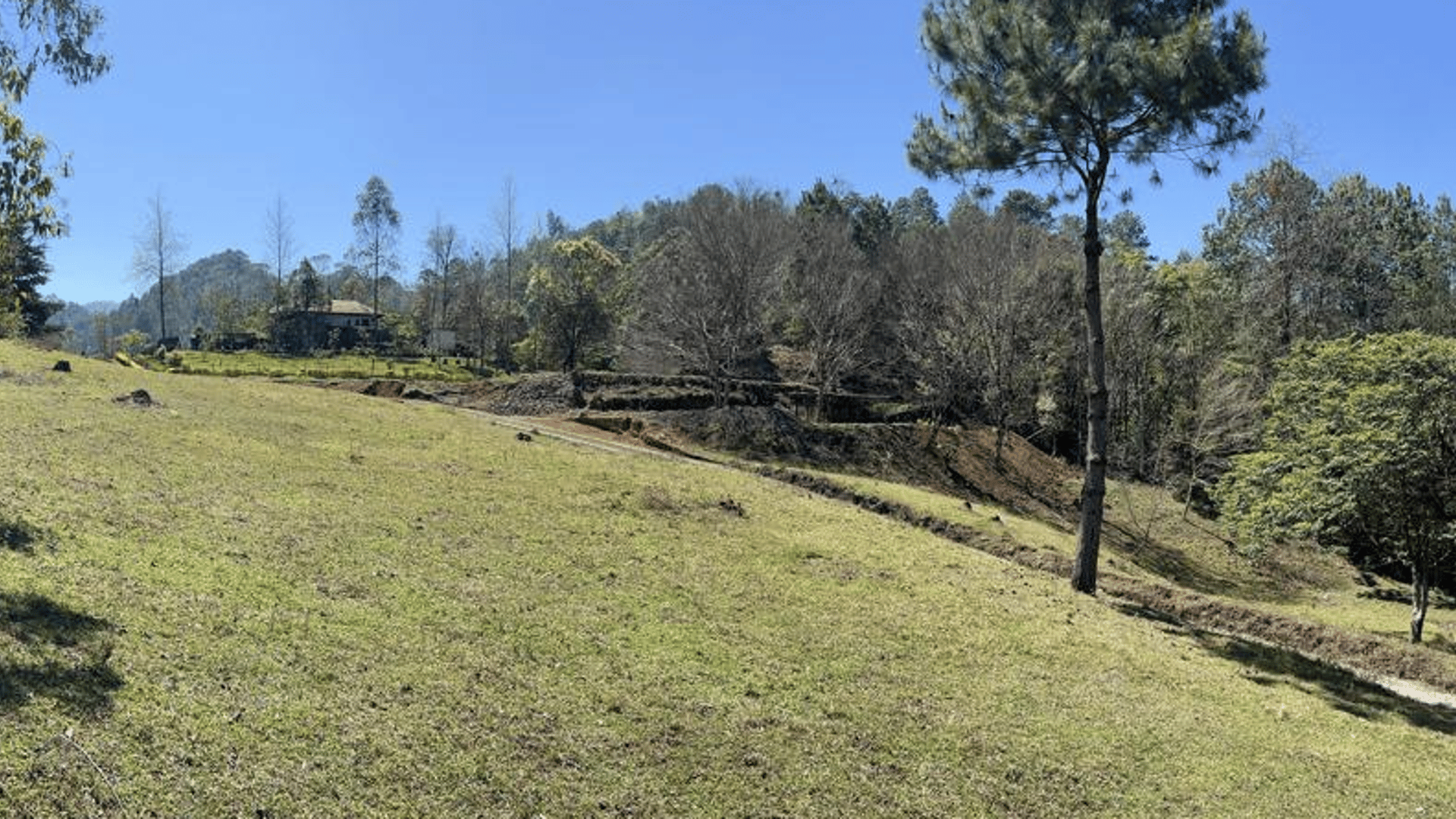 Finca comercial 26 manzanas en Venta en la Verapaces  - Miniatura 5