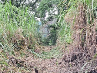 TERRENOS EN CASA Y CAMPO KM 23.5 CARRETERA A EL SALVADOR - 5