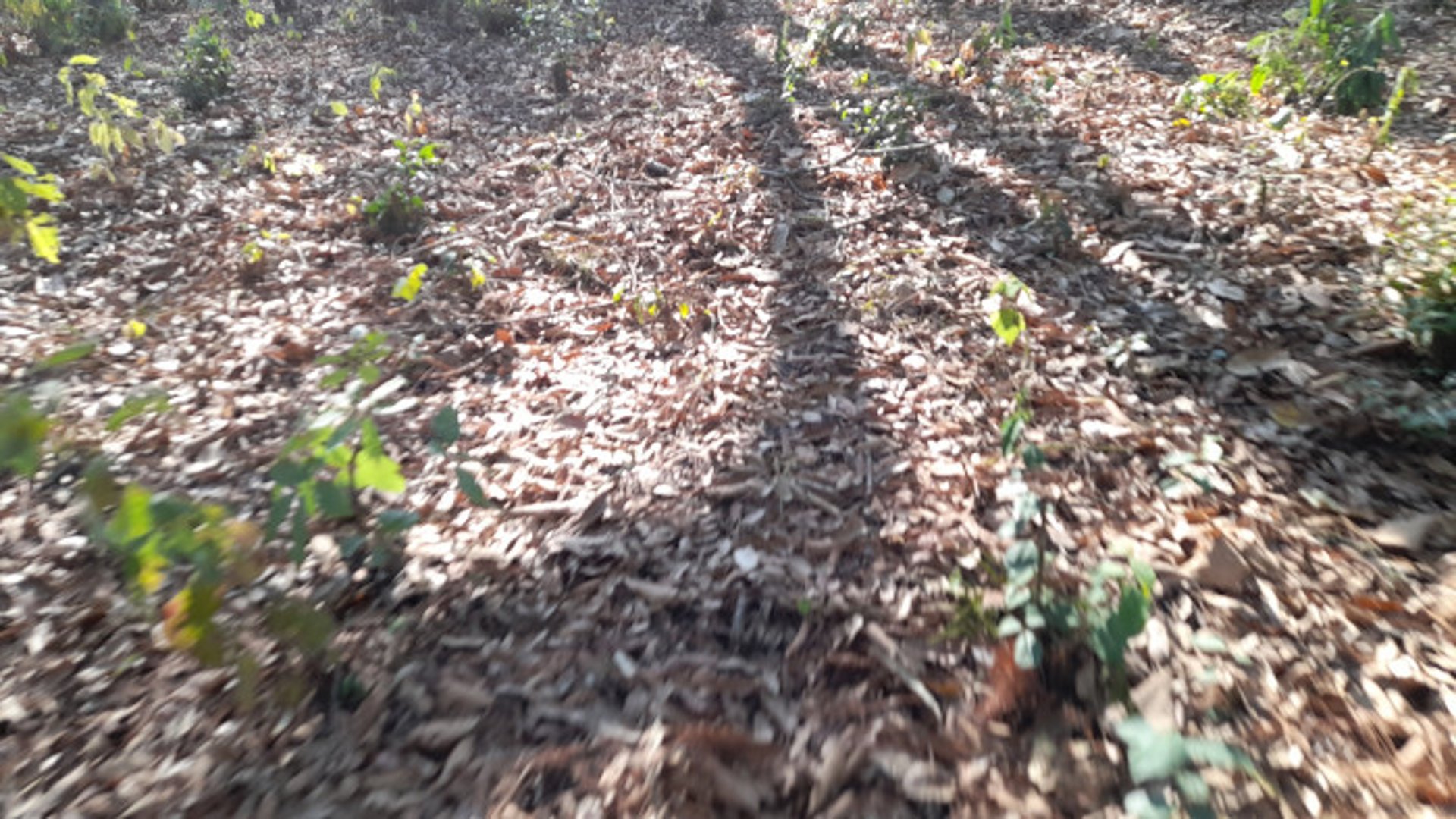 Terreno en Venta en El Encinal Zona 7 Mixco - Miniatura 3
