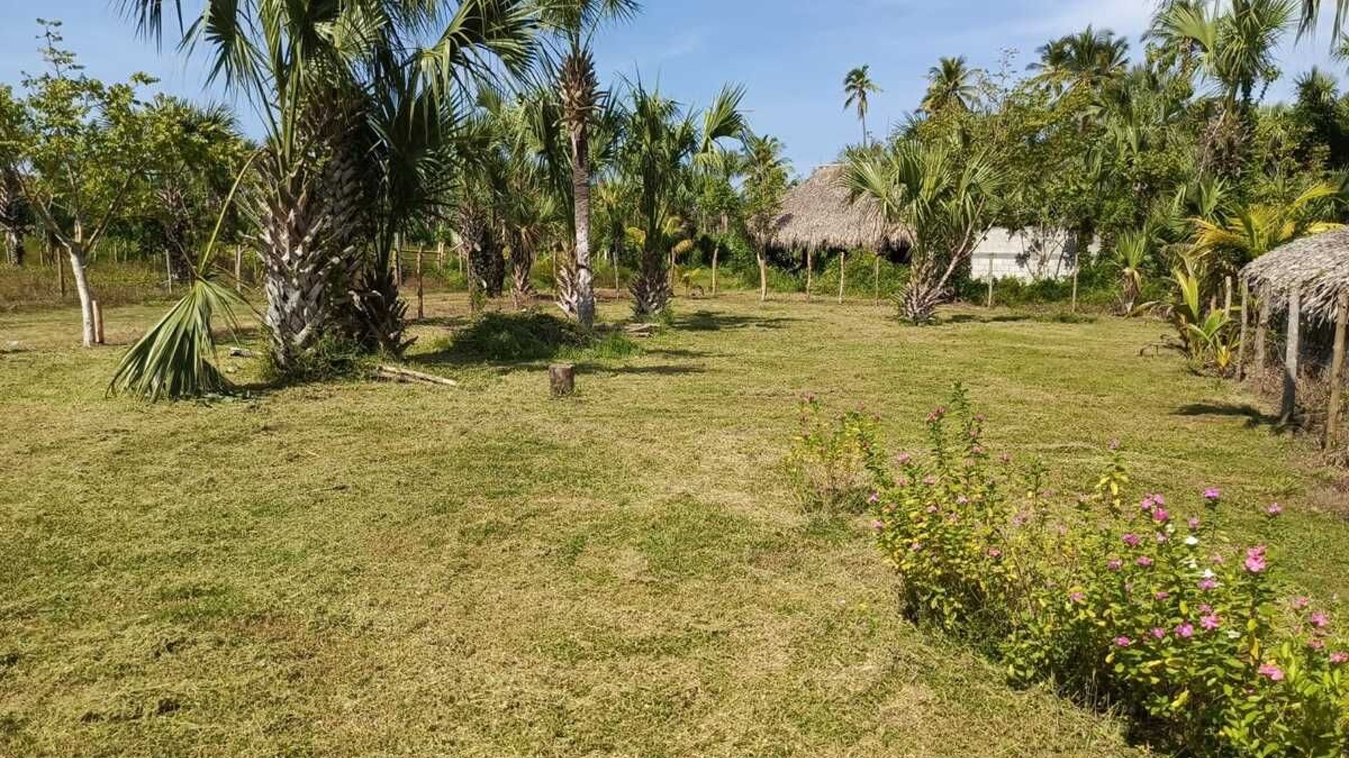 GANGA TERRENO EN VENTA – ALDEA EL CEBOLLITO, HAWÁI CHIQUIMULA - Miniatura 7