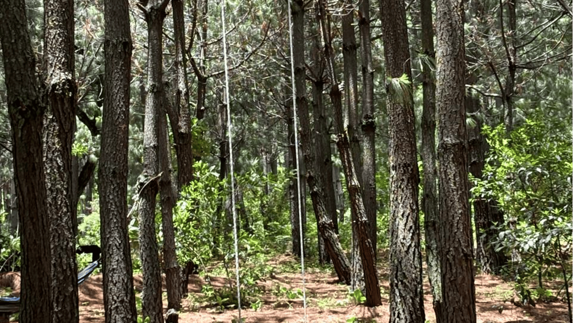 Parque ecológico en Venta en San Andres Itzapa Chimaltenango - Miniatura 16