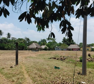 📍 FINCA EN VENTA – 95.11 MANZANAS | NUEVA CONCEPCIÓN | ESCUINTLA